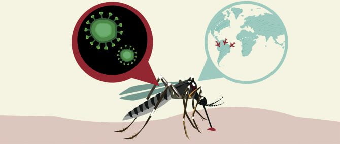 Zika virus infection