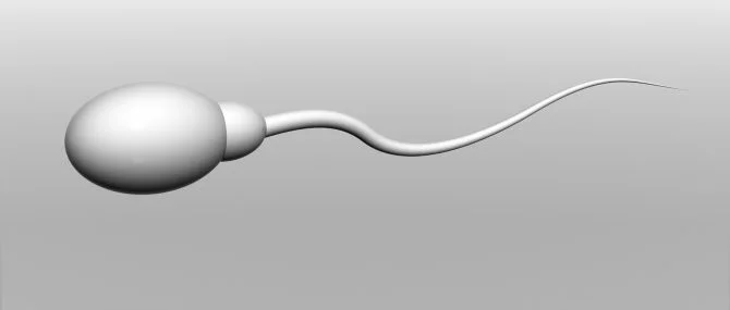 Semen testing and evaluation