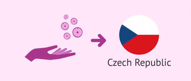 Costs of egg donation in the Czech Republic