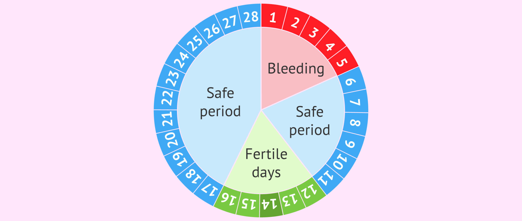 Ogino method: controlling the menstrual cycle