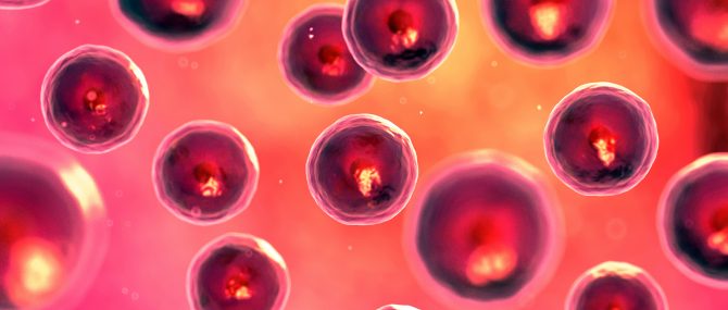 Turning to donor-egg IVF