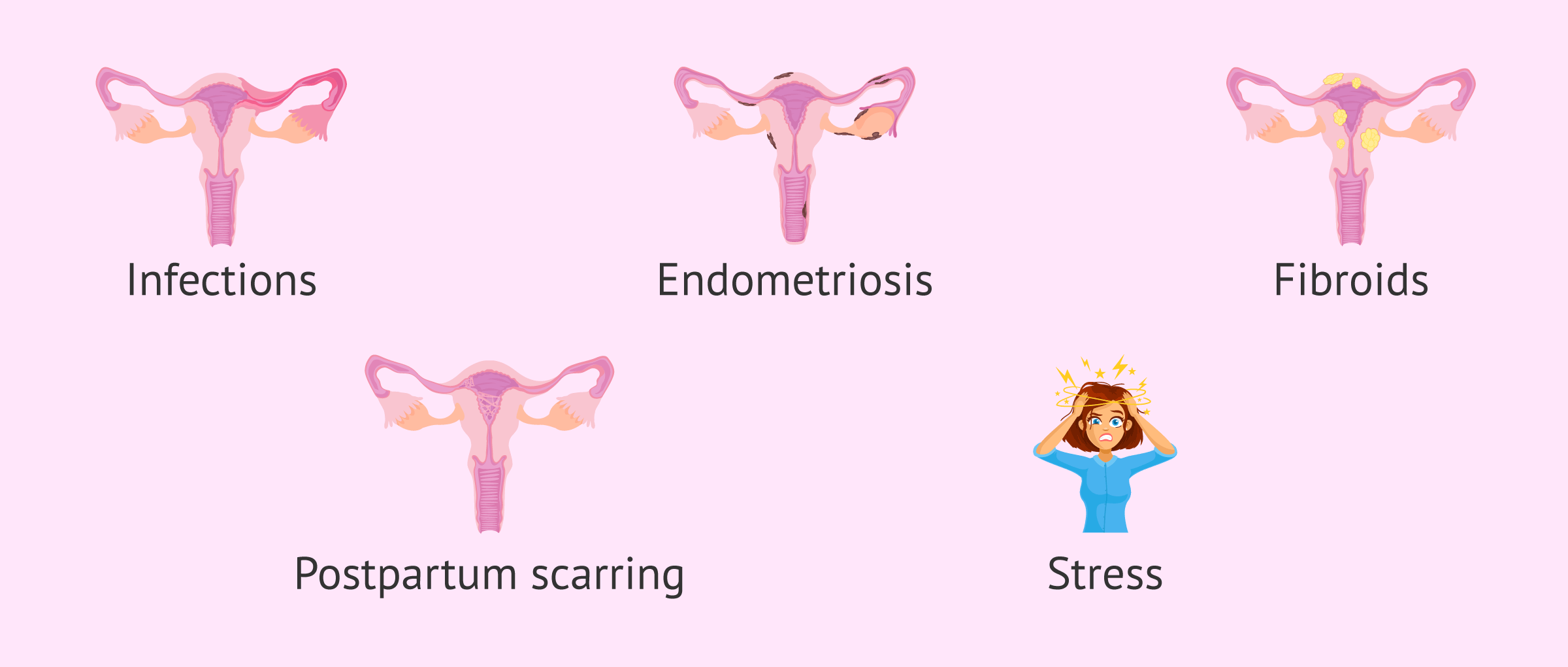 Imagen: Causes of Painful Intercourse or Dyspareunia
