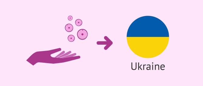 Oocyte donation in Ukraine