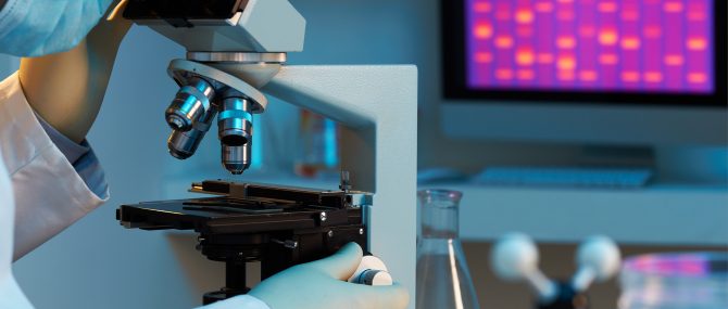 Rise in the cost of egg donation