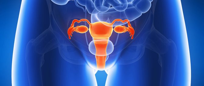 Embryo transfer to the uterine cavity