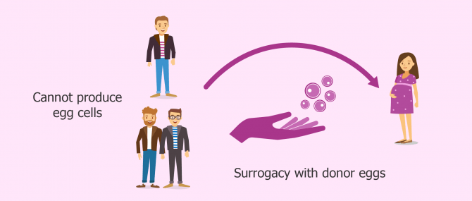 Gestational surrogacy for gay couples