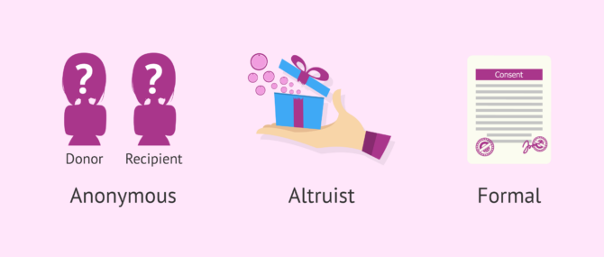What are the requirements for egg donation in Spain?