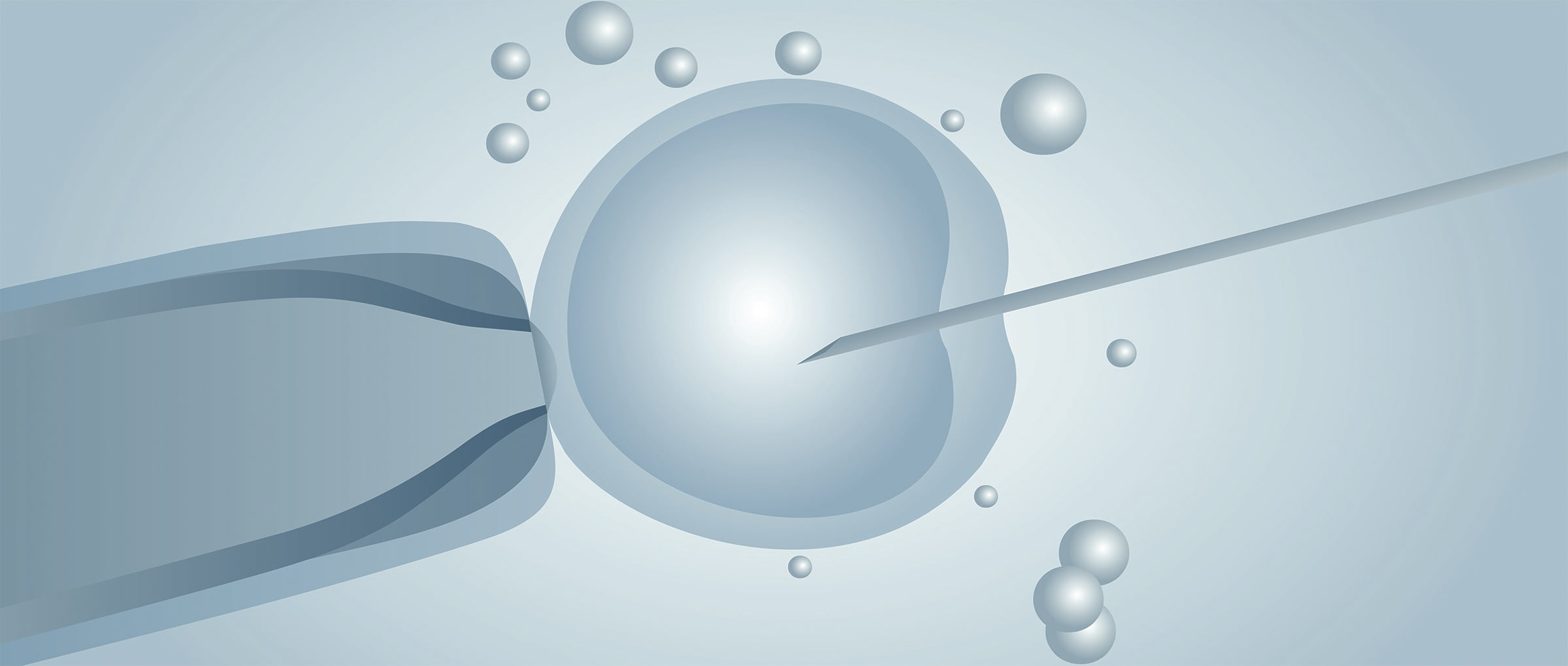 Donor-egg IVF in the Czech Republic