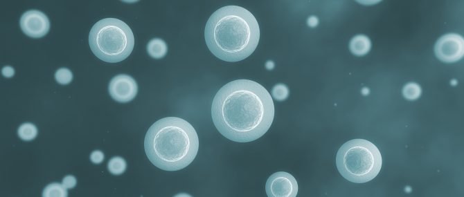 Quality of donor eggs