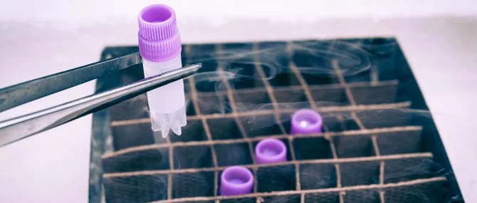 Frozen donor sperm