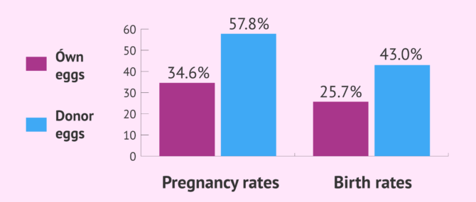IVF with egg donation: what are the chances of getting pregnant?