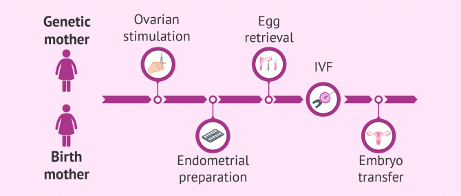 Shared maternity or reciprocal IVF