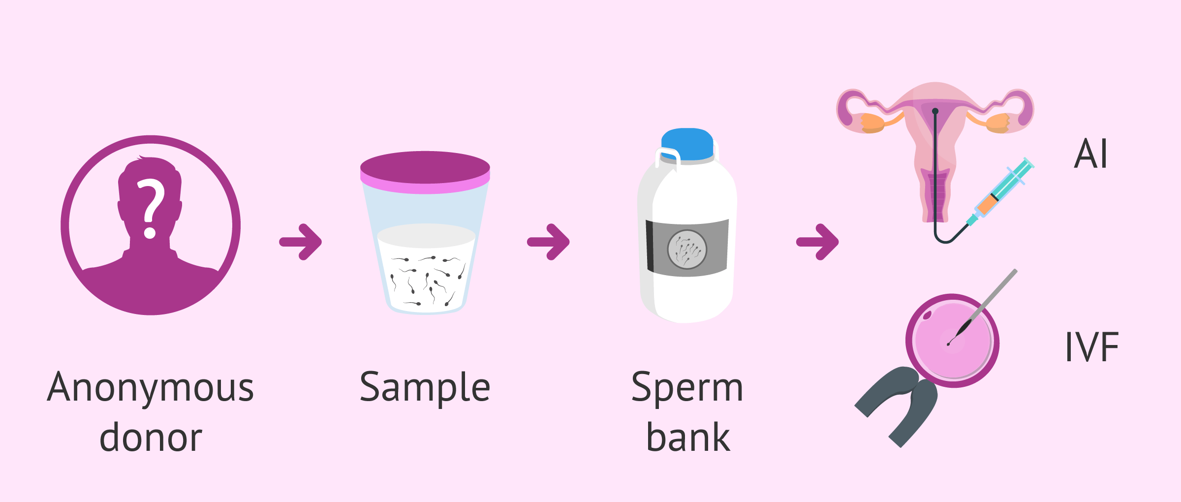 Sperm donation