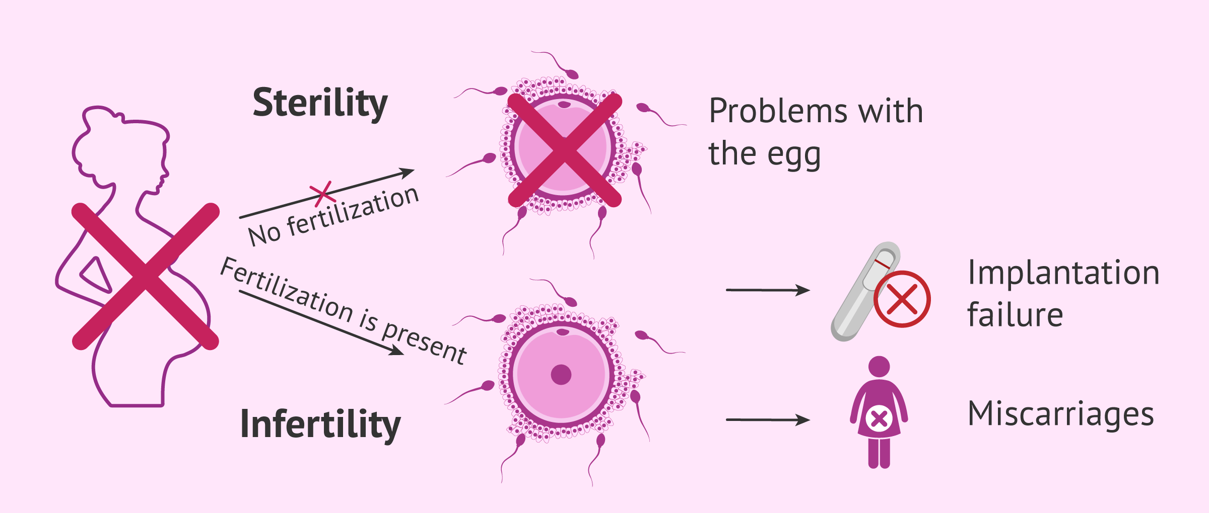 Differences between infertility and sterility in women