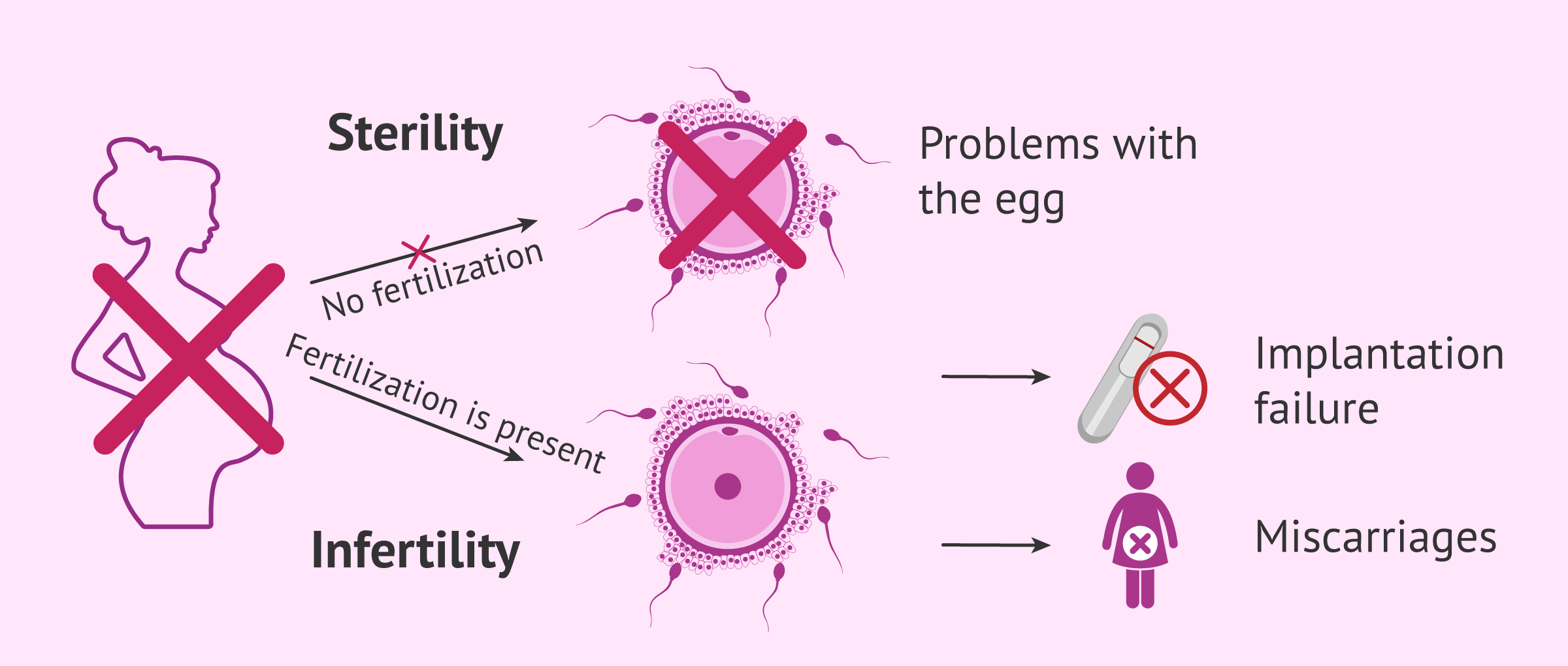 Imagen: Differences between infertility and sterility in women