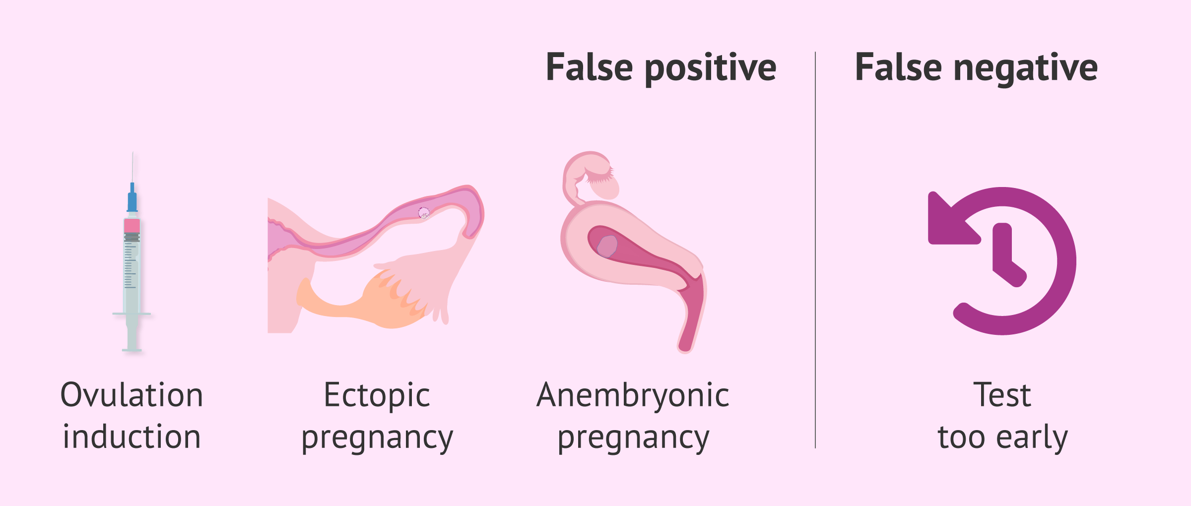 What causes a false positive or false negative pregnancy test?