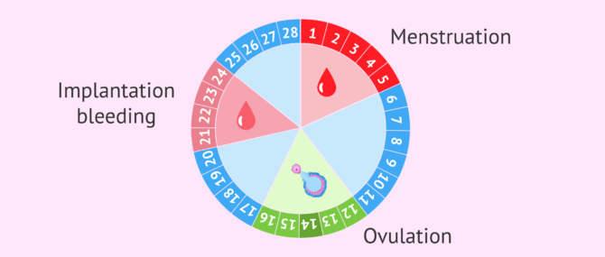 Has anyone every had small clots during implantation? ( Pics attached) -  Trying to Conceive, Forums