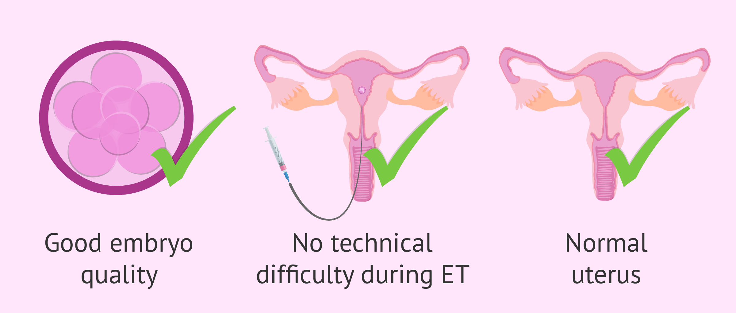 Signs of embryo implantation  failure