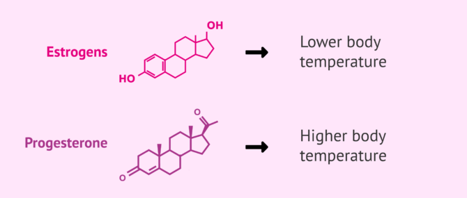 Imagen: Hormonal changes in pregnancy and body temperature