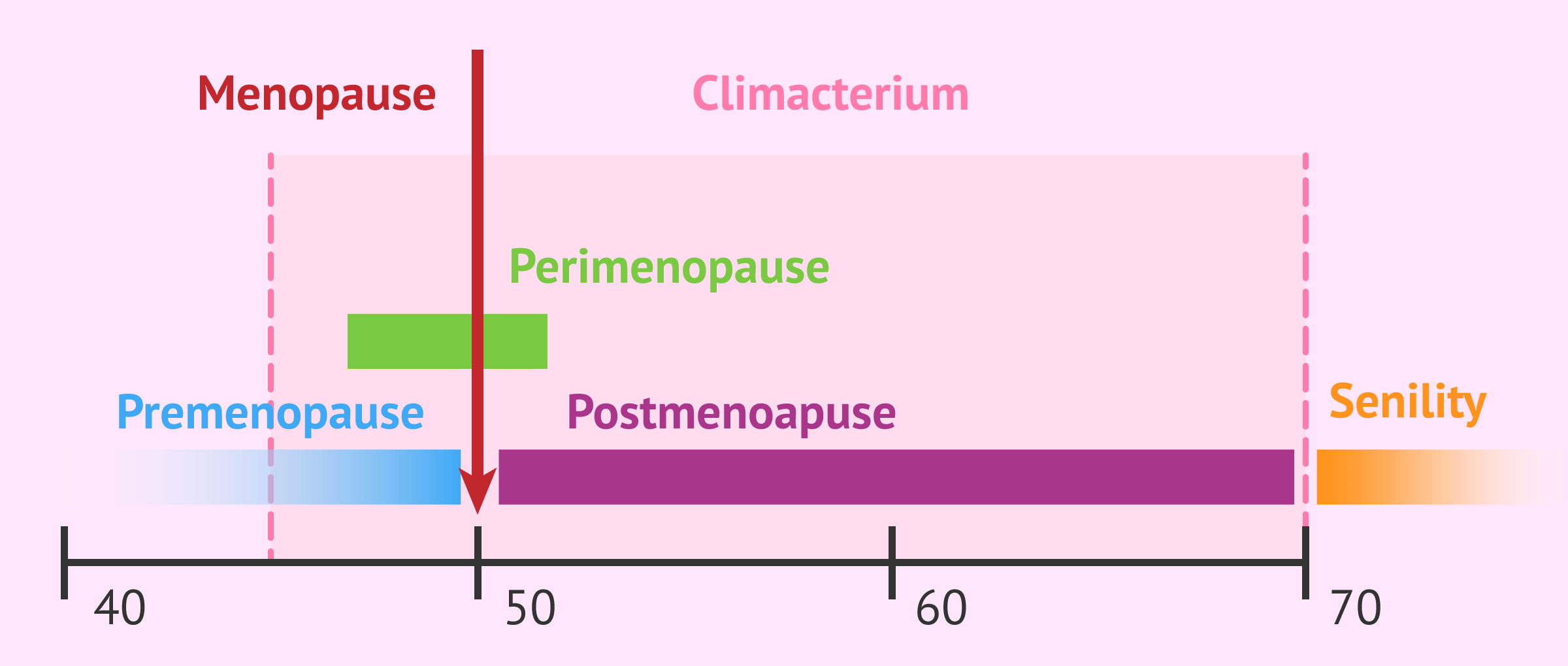 The Different Stages Of Menopause