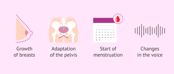 Imagen: The onset of female fertility
