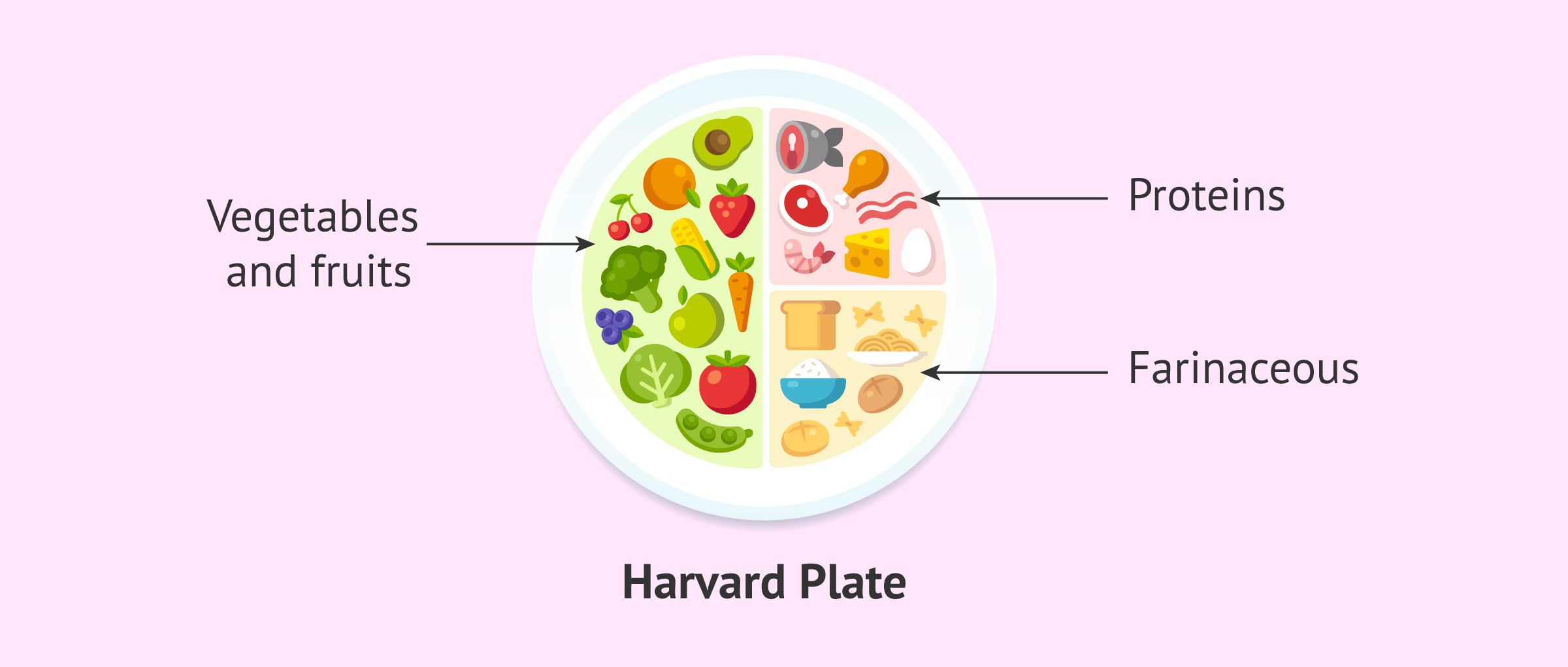 Imagen: The Harvard plate