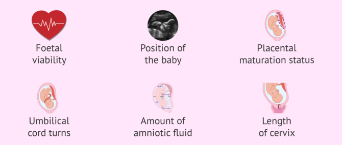 Imagen: Third trimester ultrasound information