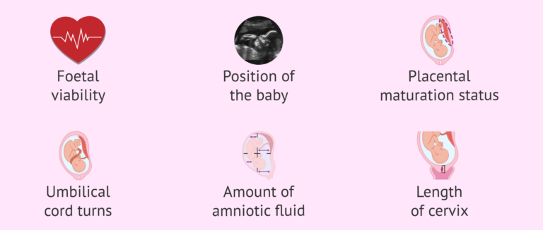 Third trimester ultrasound information