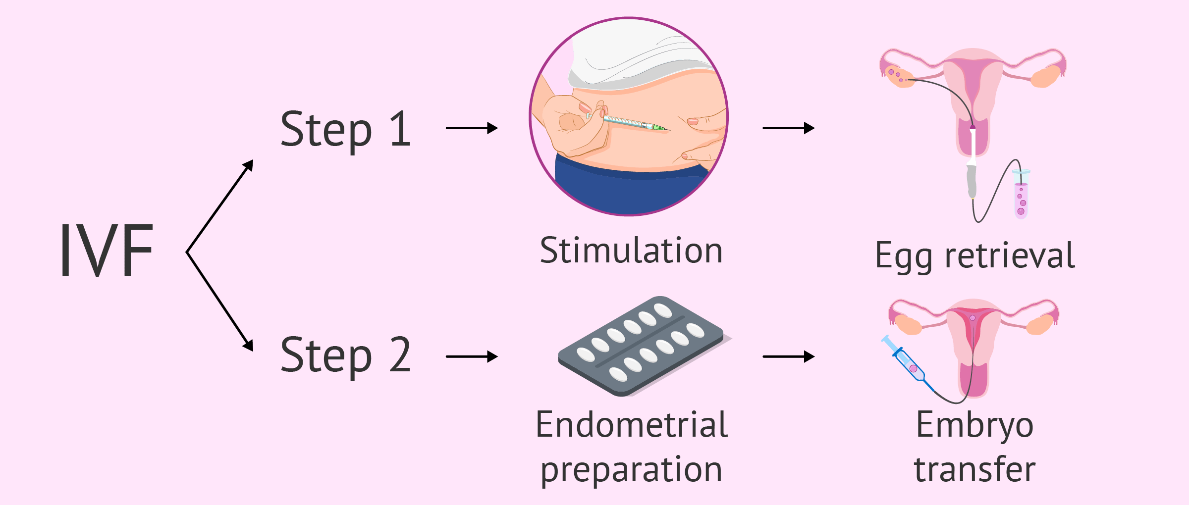 ivf-procedure-steps