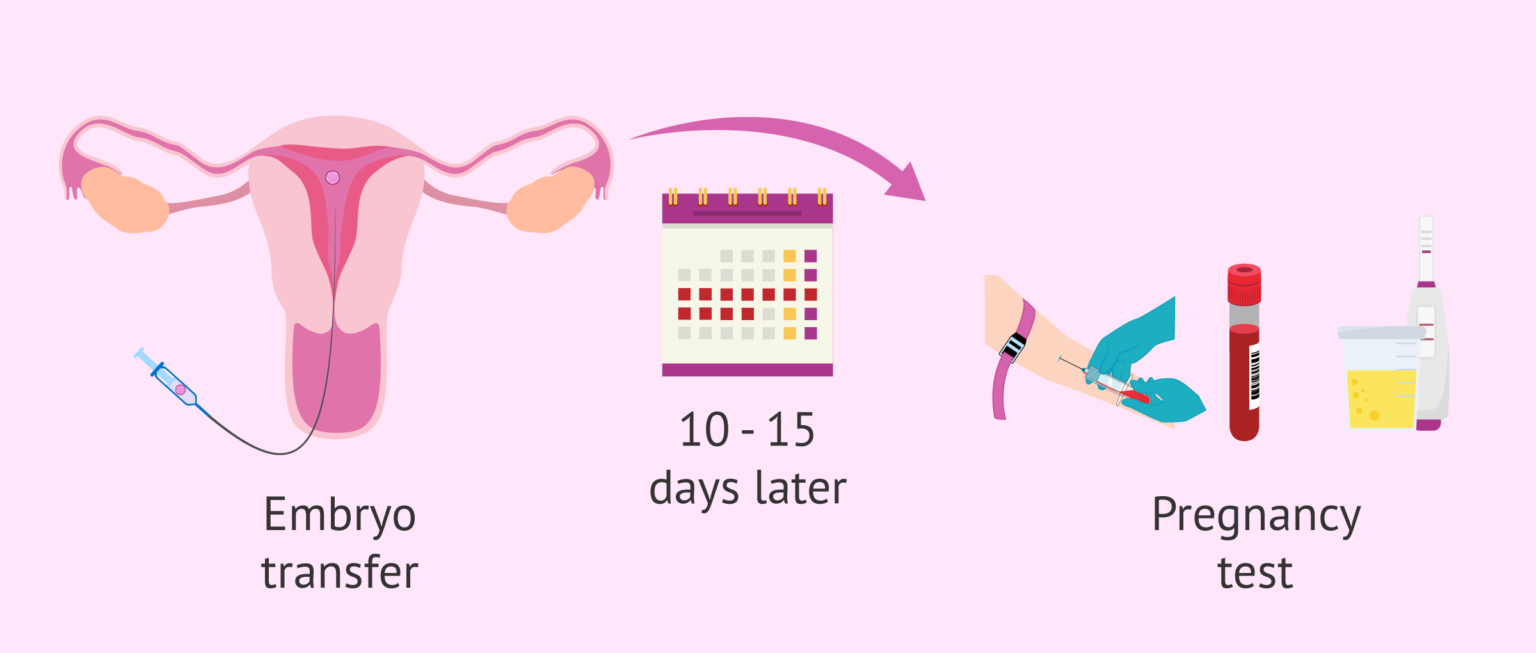 Pregnancy test after embryo transfer
