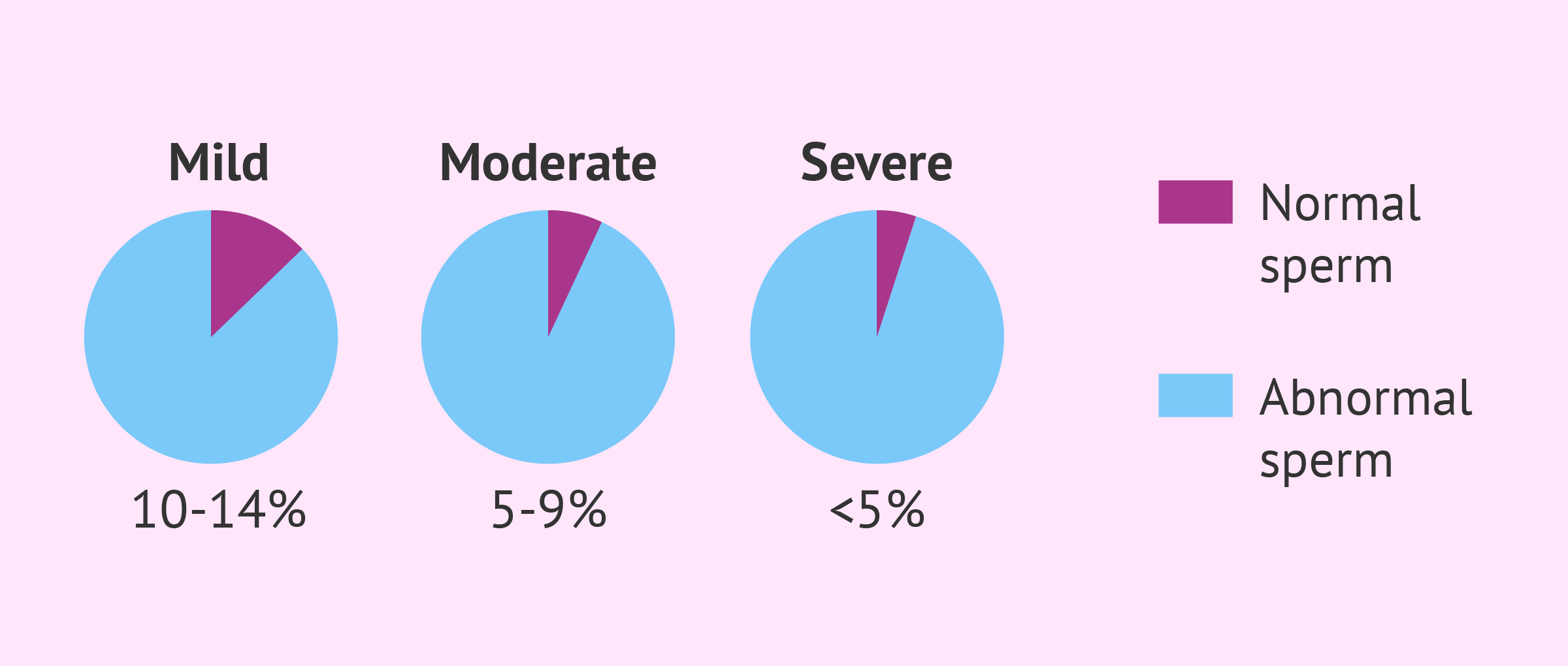 Percentage of normal spermatozoa