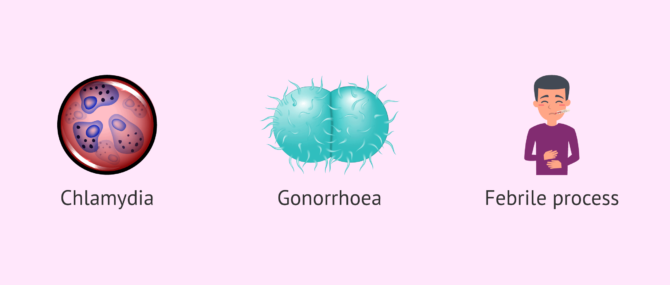 Imagen: Teratozoospermia due to seminal infections