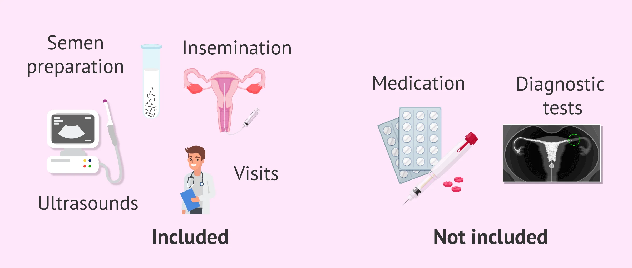 Imagen: Services included and not included in the IA