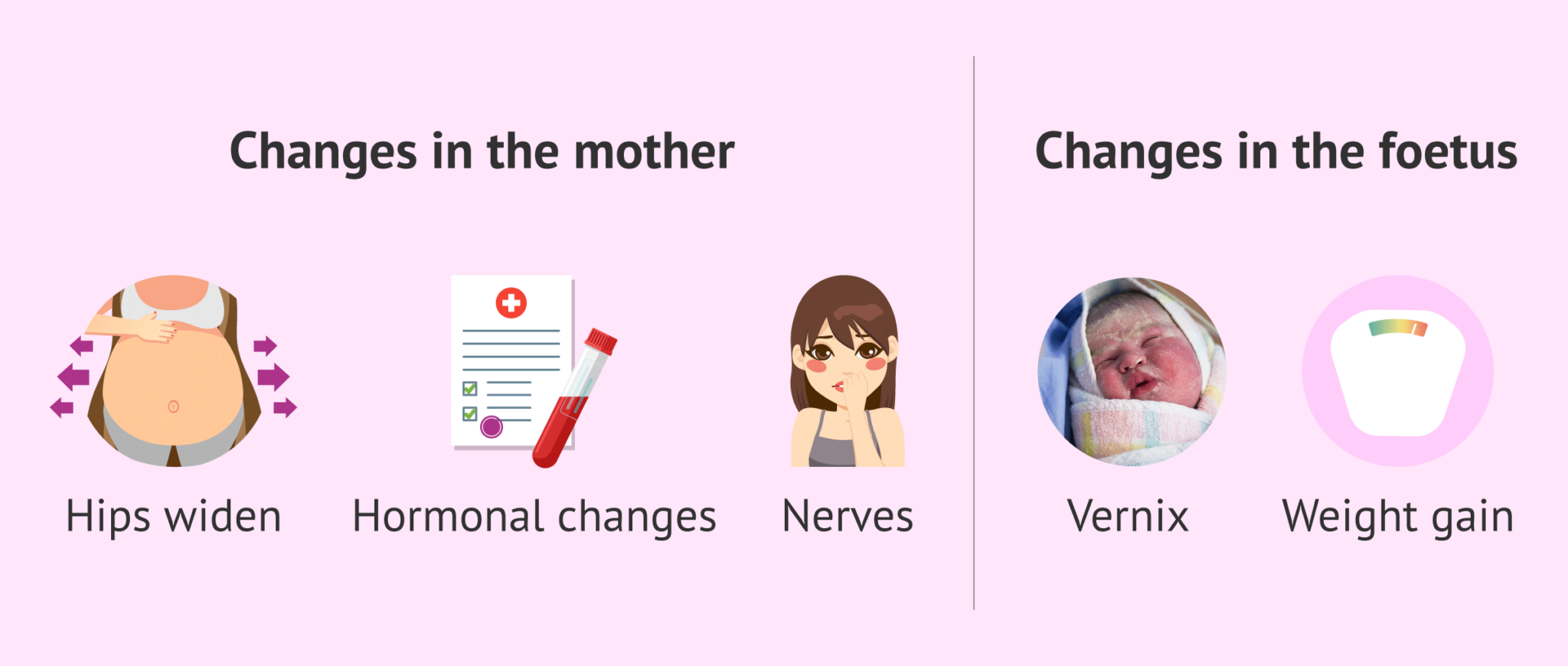 What Happens during the Eighth Month of Pregnancy?