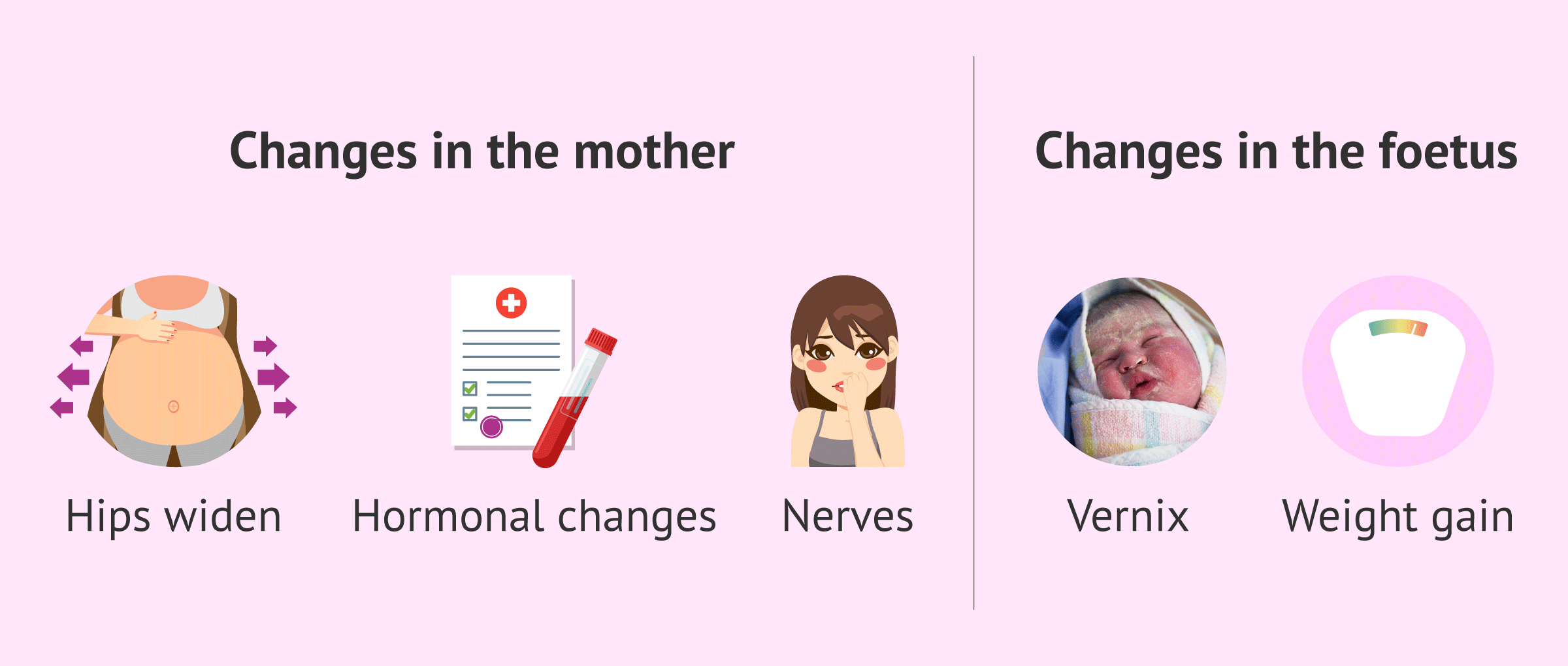 Changes in the mother and foetus in week 30