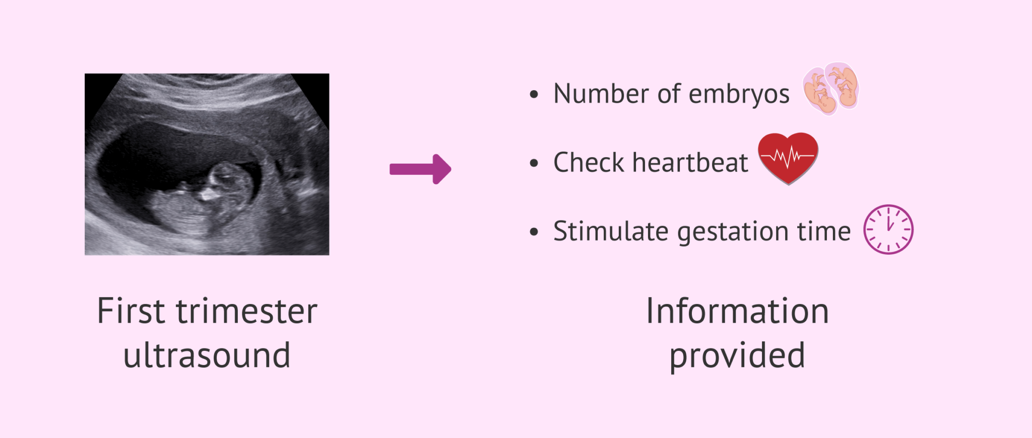 The Sixth Week Pregnancy: Embryo Evolution and Symptoms