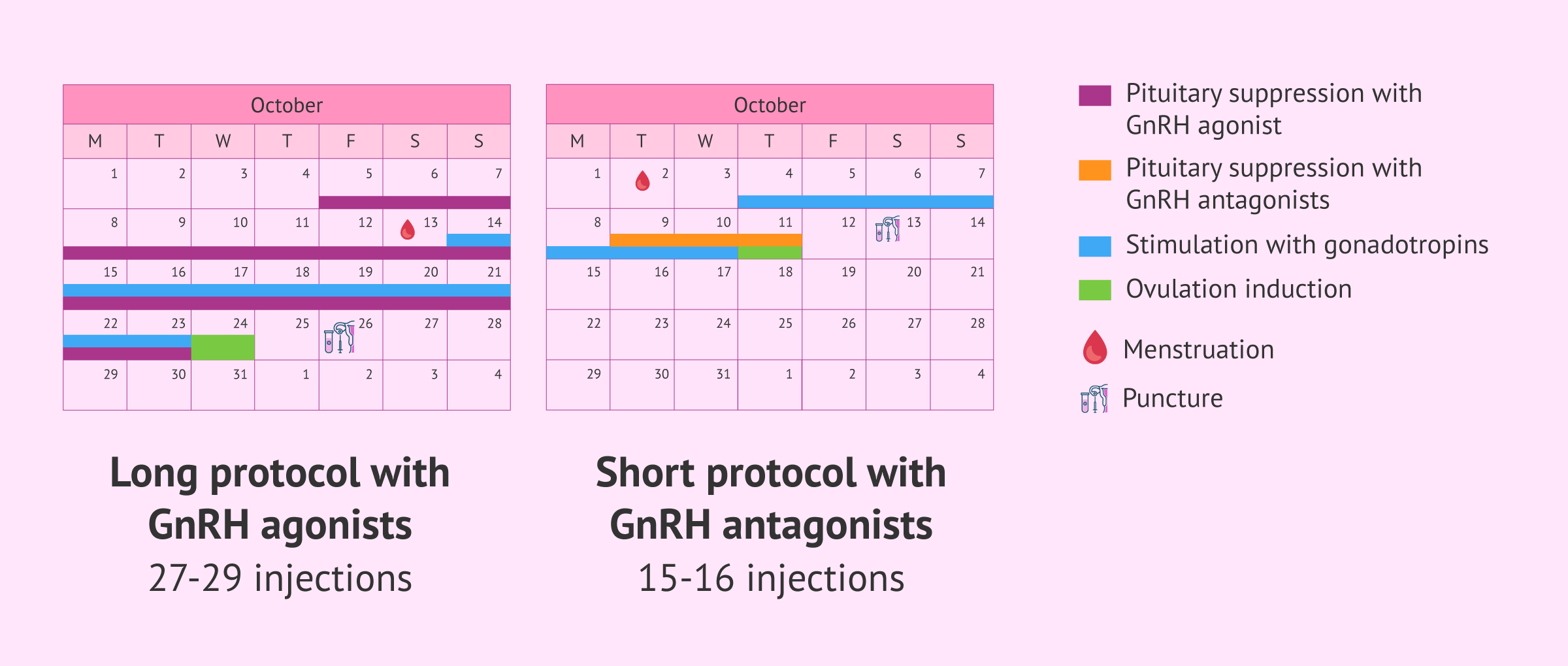 Imagen: number-injections-based-protocol-agonists-gnrh