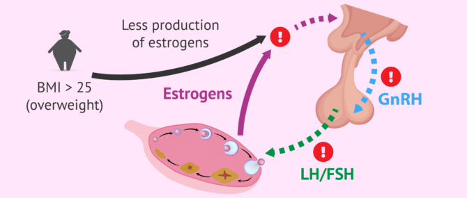 Imagen: BMI and hormone production