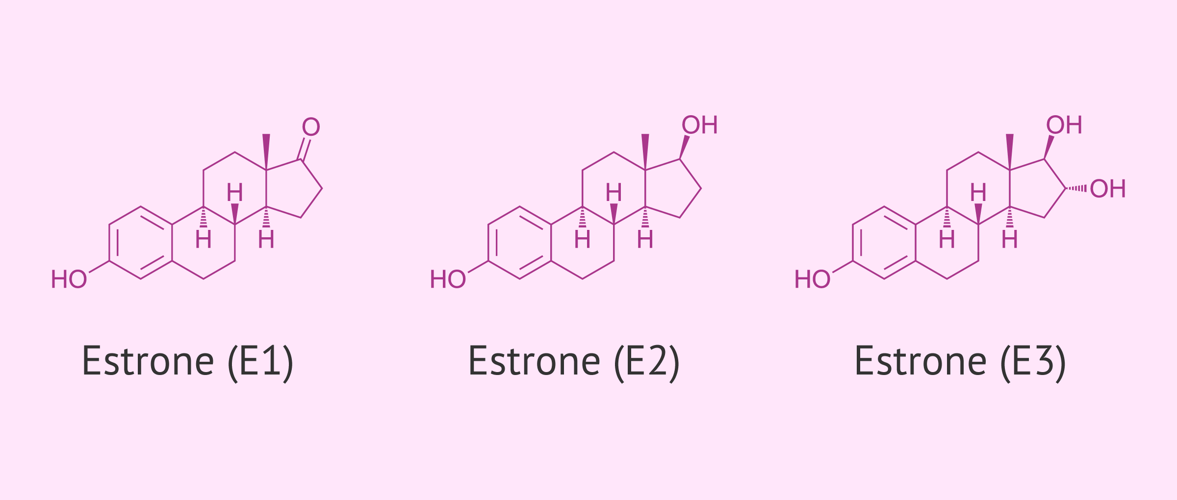 Names of the different types of estrogens