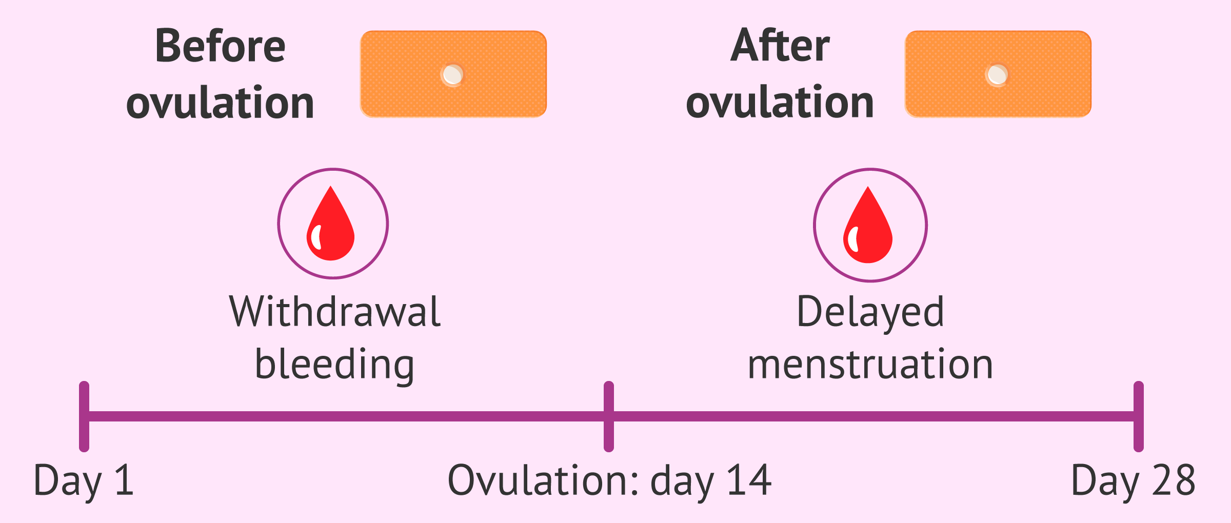 Cuanto dura el ciclo menstrual