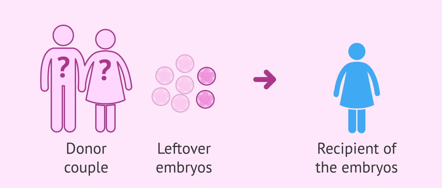 Embryo Donation Process
