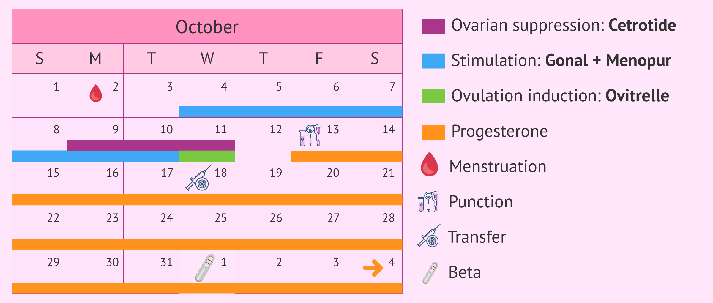Calendar for short stimulation protocol