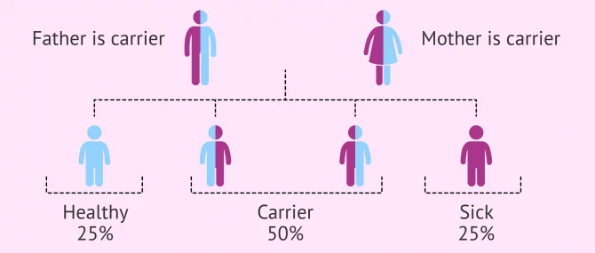 Imagen: Inheritance of a recessive genetic disease