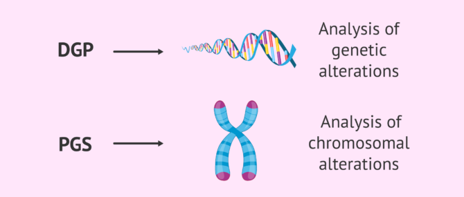 What is preimplantation genetic diagnosis or PGD?