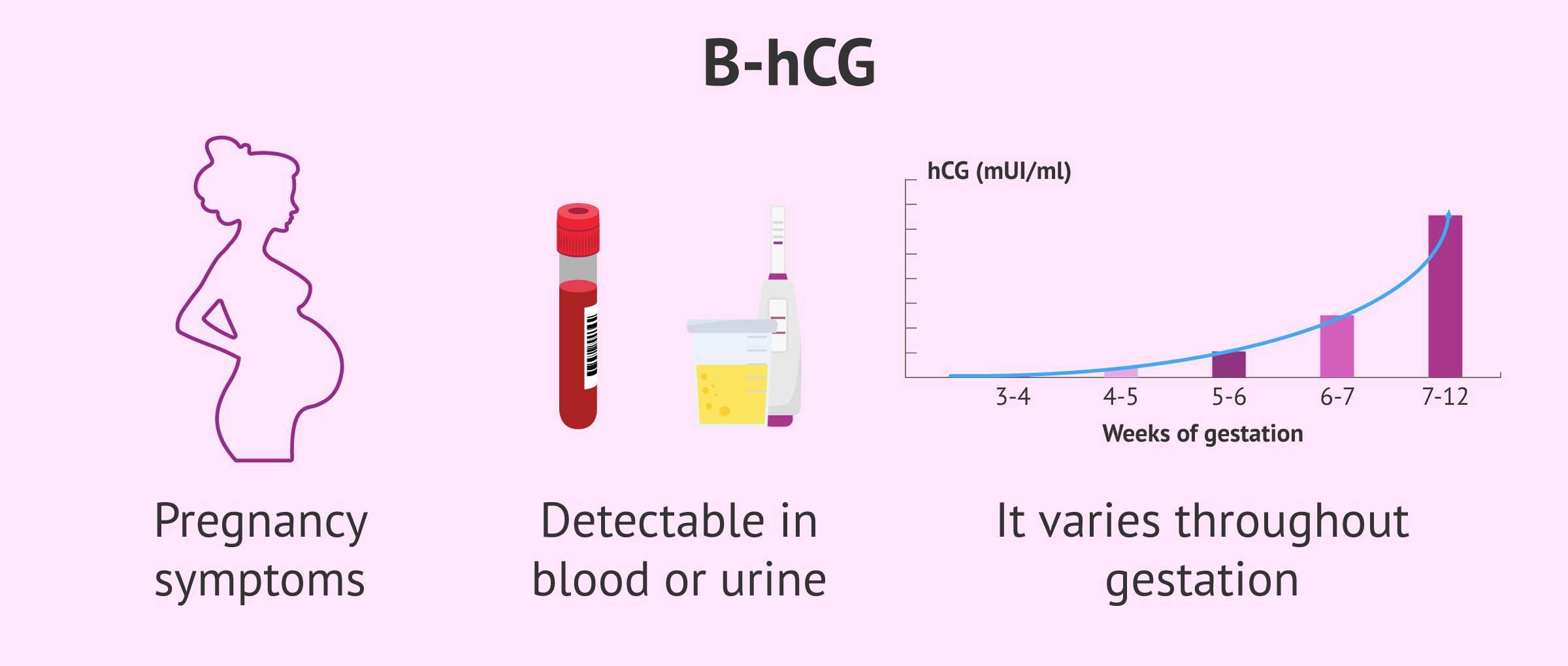 Beta hCG characteristics