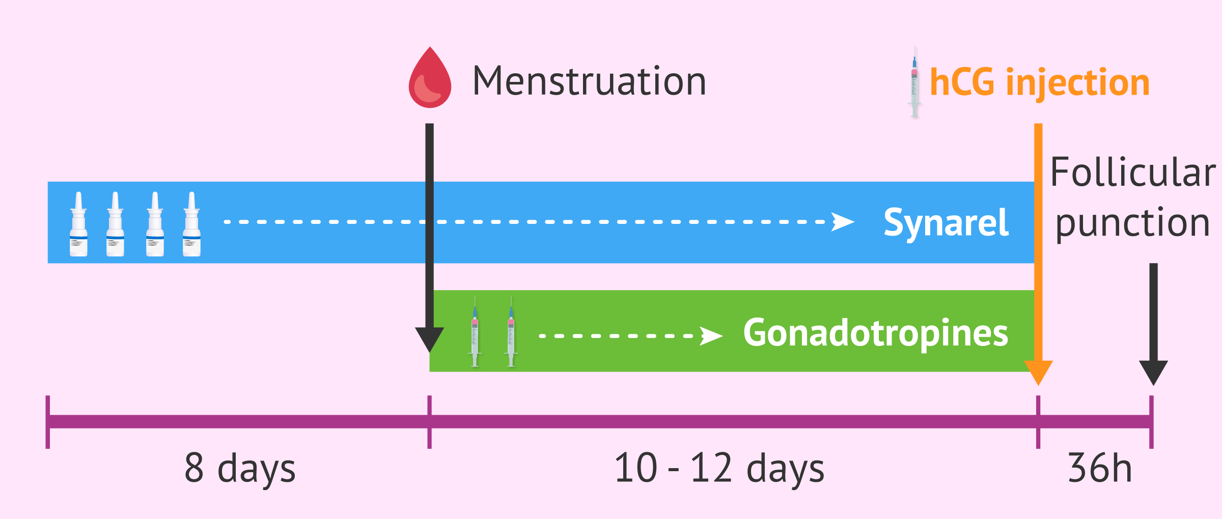 Long stimulation protocol in ovarian stimulation with Synarel