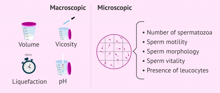 Semagogram Basic semenogram with macroscopic and microscopic parameters
