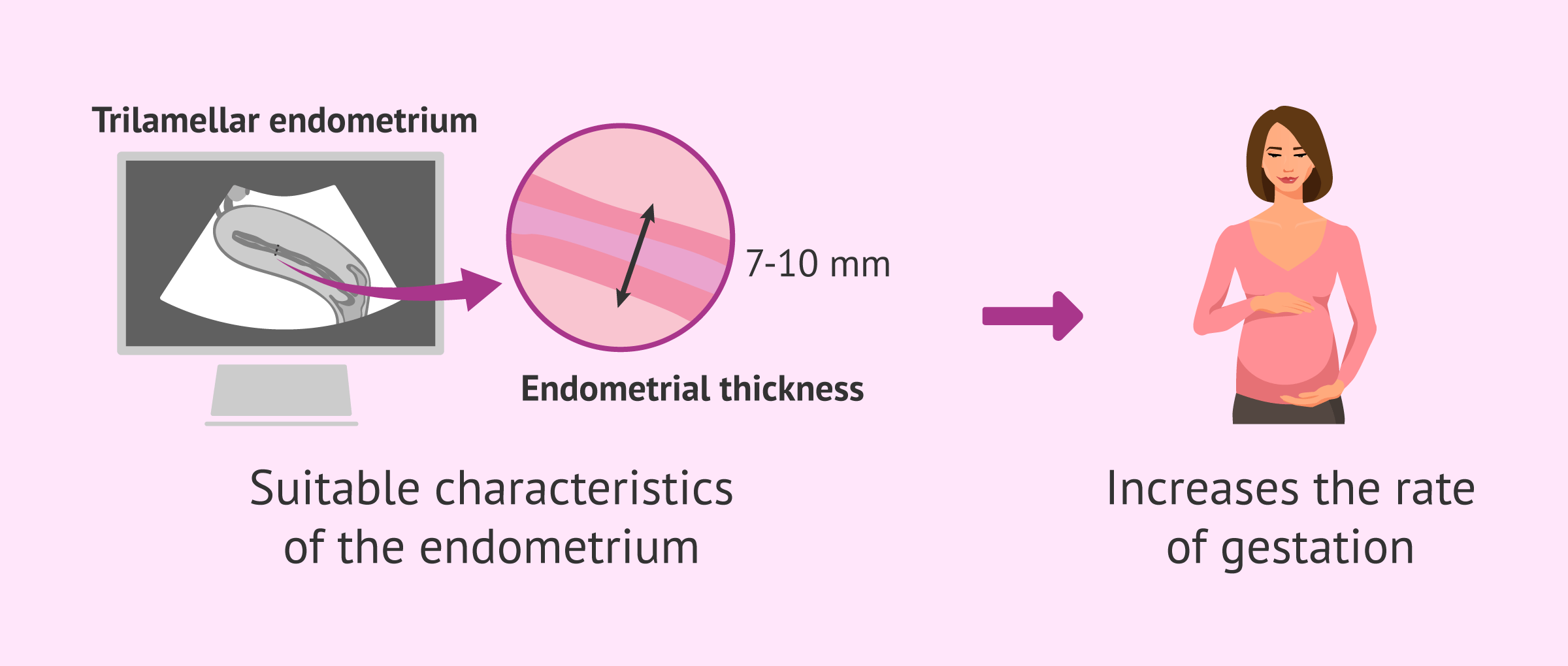 Imagen: Endometrial thickness assessment