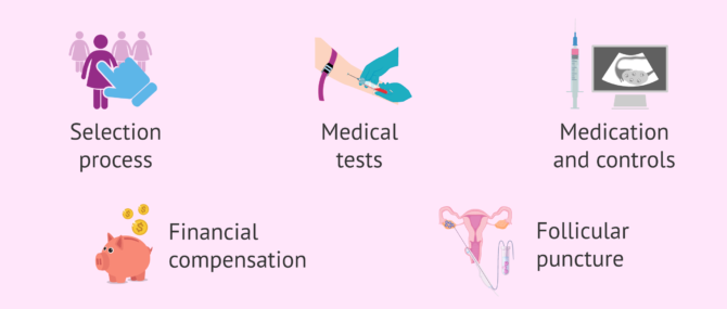 Imagen: Why is the price of IVF with donor eggs increasing?