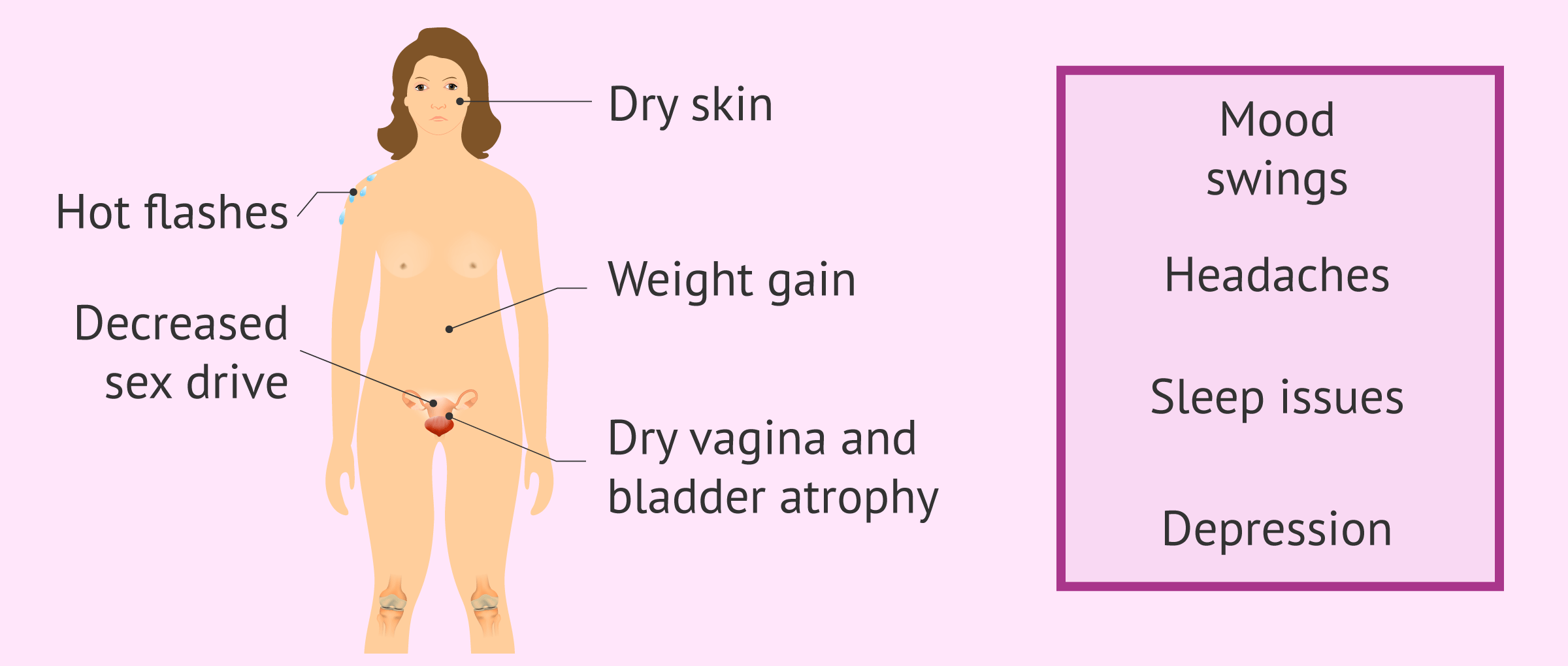 En la menopausia pueden doler los senos En la menopausia pueden doler los senos